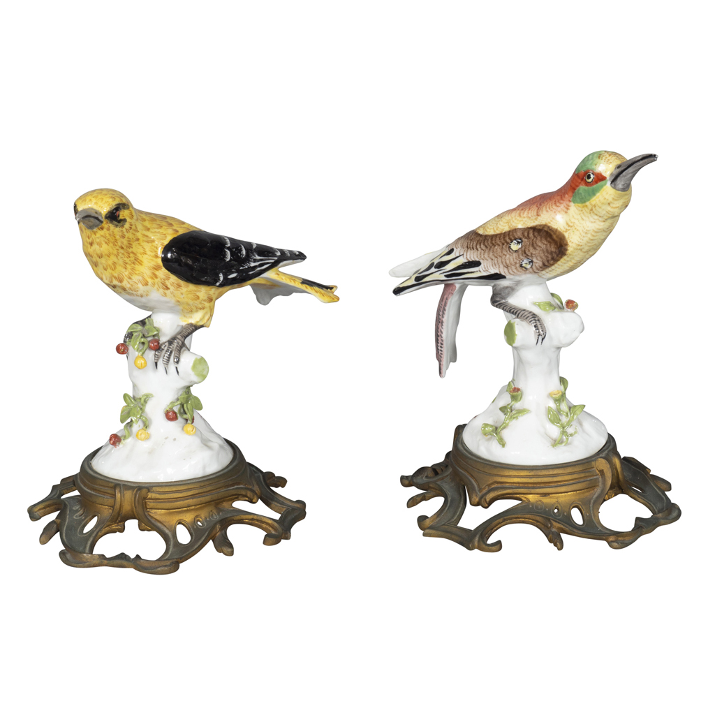Pair of European Porcelain Figures of Sunbirds