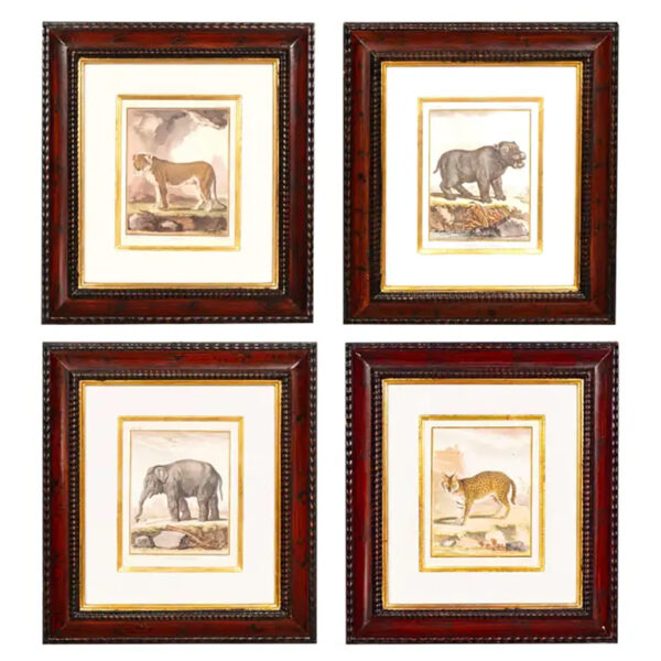 Set Of Four Engravings of African Animals