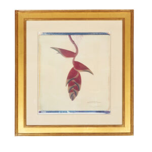 Framed Botanical Print by Linda L. Broadfoot